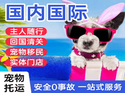 大庆萨尔图国际宠物托运 【国
